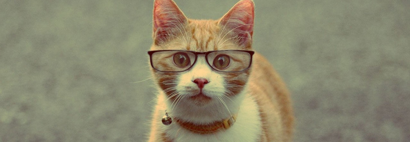 imagenes-de-gatos-con-lentes-para-portadas-de-facebook
