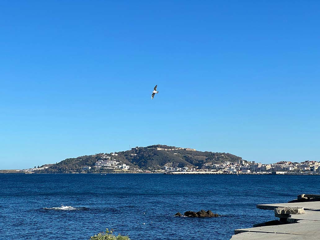Diseño Web en Ceuta