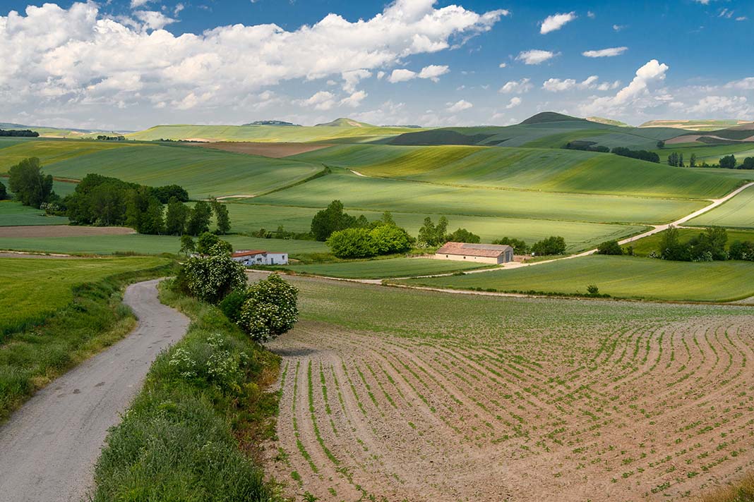 Diseño Web en La Rioja