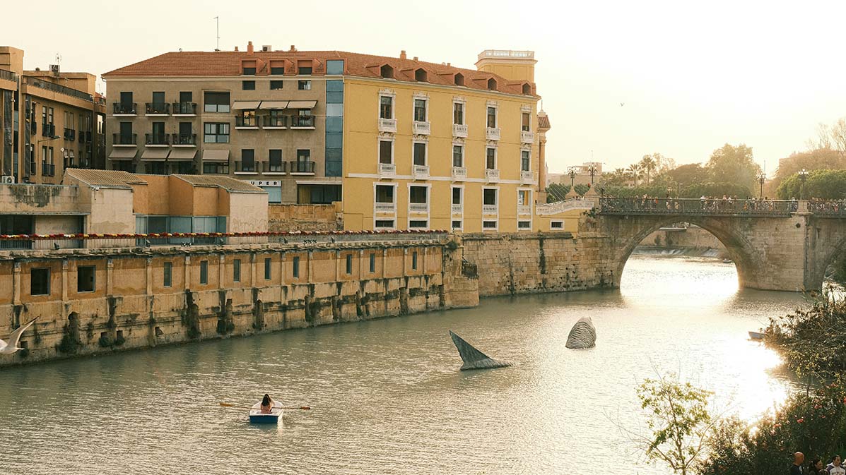 Diseño Web en Murcia